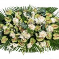 Cuscino Classico 1